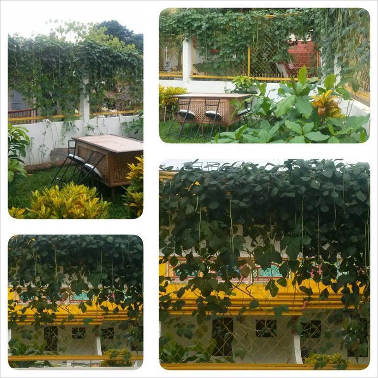 Hotel Bambooze Hauz Balabag  Esterno foto